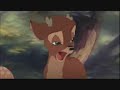 butterfly-faline.html