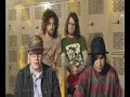 Fall Out Boy - Young Wild Things Tour Interview