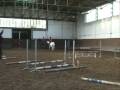 ShowJumping - Assembly with Jaroslav Jindra ShowJumping - Assembly with Jaroslav Jindra