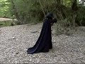 beatrix kiddo vs  zorro