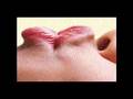 N�o sou escravo de ningu�m...ningu�m senhor do meu domin�o...