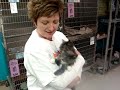 Marquette County Humane Society-Blanche and Dorothy Marquette County Humane Society-Blanche and Dorothy