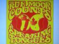 videos de The Rue Moor Counts - On the Run