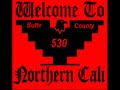 L.S.C- NORTHERN CALI 530