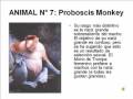 los 10 animales mas feos del mundo