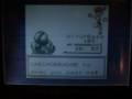 videos de Pokemon Yellow: Gym 2 - Water - Misty