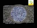 Obejrzyj materiał wideo