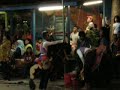 kuda mabok 2