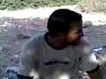 ديراستيا