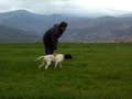 video 10 ferma