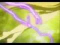 Nanoha A'...