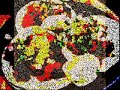 SOBRE LOS ALIMENTOS QUE INGIERO DIARIAMENTE