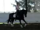 RA under saddle 5 rides