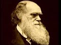 Darwinism collapsed 3