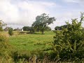 On The Braes O\ On The Braes O\