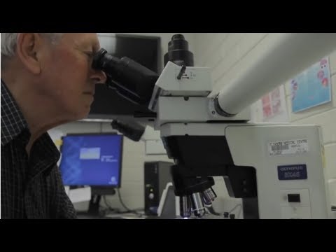 how to eliminate pcr contamination