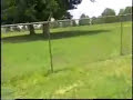 Reporter Goes Insane After Accidentally Swallowing a Fly