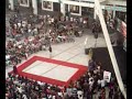 luct catwalk 1