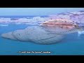 Elytis - Violaris, Ελύτης - Βιολάρης: The Cicadas ~ Τα τζιτζίκια
