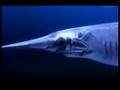 Mechanism CG of goblin shark ゴブリン・シャーク 顎のメカニズム ＣＧ