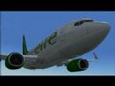 flyeire - Winglets