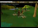 Lvl 3 with Hunter Skillcape !! Interview !! Lvl 3 with Hunter Skillcape !! Interview !!