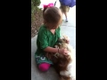 Why Zanes dogs want to live with me - YouTube