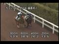 videos de [調教] 081008 カンパニー 「毎日王冠」前追い切り