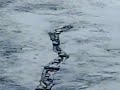 Iceland Worm Monster Caught on Camera Loch Ness Monster The Lagerfljot River Worm WWW.GOODNEWS.WS