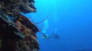 PADI Buceo profundo