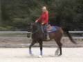 videos de Prince Sam