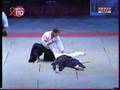 Christian Tissier - Bercy 2008