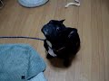 デカ黒フレンチ