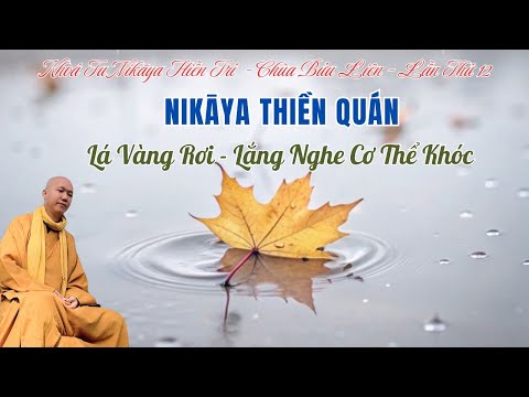 NIKAYA Thiền Quán - Lá Vàng Rơi - Lắng Nghe Cơ Thể Khóc - Khổ & Thương 4 **