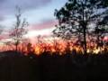 Colorful Florida Sunset