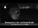 Zona Azteca Interviews Roque