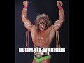 HISTORY OF THE WWE CHAMPIONSHIP