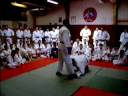 judo technics - Florent Urani - circular Ashi Waza ??