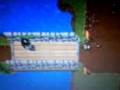 videos de tibia facc cat