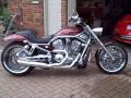 ChopperExchange.com: 2003 VRSCA V-Rod Harley Davidson