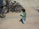 Fiestas Patrias 2008 (1)