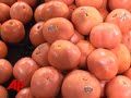 ways to eat safe after beef tomato scares