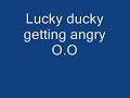 Lucky Ducky Angry Lucky Ducky Angry