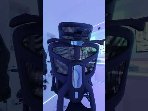 Ghế Công Thái Học Fufutech FEC02 