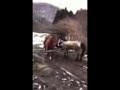 Click here to watch this video かるすとんきんぐお\(//∇//)\