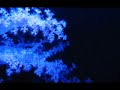 Marascia - March