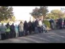 Chester Zoo elephants smashing pumpkins!