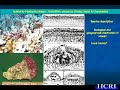 - Rafael Riosmena Rodriguez - Coralline Algae - Part 2 -