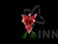 2008 InnoCentive Video Challenge Finalist #4 - WINNER