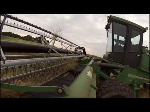swathing - Swathing some canola on a damp morning with the John Deere 2360 swather.